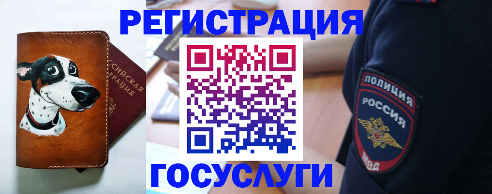 временная регистрация в квартире в Приморском крае